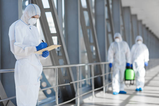 Best Emergency Mold Remediation  in Vail, CO