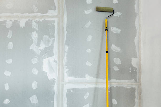 Best Commercial Mold Inspection  in Vail, CO