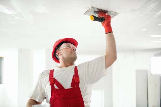 Best Black Mold Removal  in Vail, CO