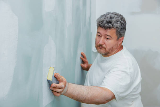 Best Residential Mold Inspection & Testing  in Vail, CO
