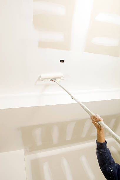 Best Forensic Mold Investigation  in Vail, CO
